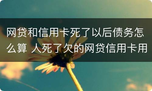网贷和信用卡死了以后债务怎么算 人死了欠的网贷信用卡用还吗