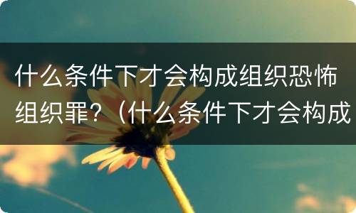 什么条件下才会构成组织恐怖组织罪?（什么条件下才会构成组织恐怖组织罪行）