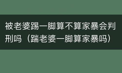 被老婆踢一脚算不算家暴会判刑吗（踹老婆一脚算家暴吗）