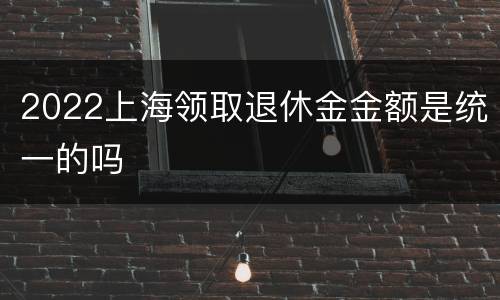 2022上海领取退休金金额是统一的吗