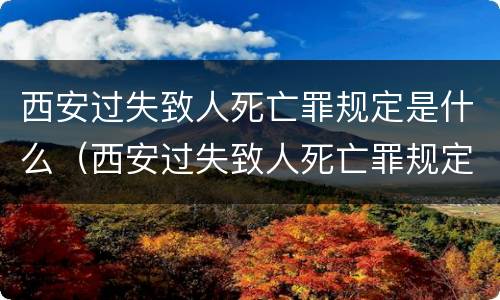 西安过失致人死亡罪规定是什么（西安过失致人死亡罪规定是什么意思）