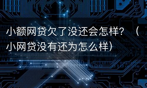 小额网贷欠了没还会怎样？（小网贷没有还为怎么样）
