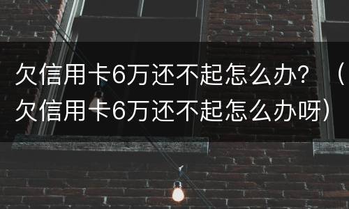 欠信用卡6万还不起怎么办？（欠信用卡6万还不起怎么办呀）
