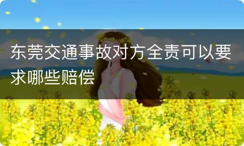 东莞交通事故对方全责可以要求哪些赔偿
