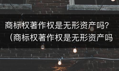 商标权著作权是无形资产吗？（商标权著作权是无形资产吗）