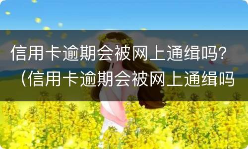 信用卡逾期会被网上通缉吗？（信用卡逾期会被网上通缉吗怎么办）