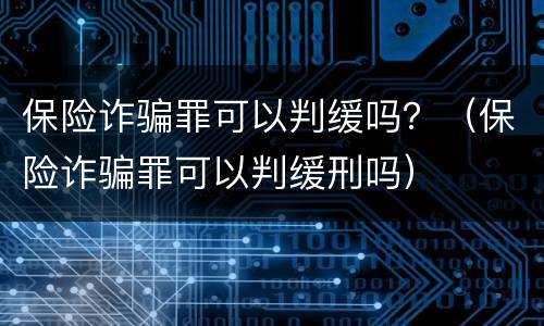 保险诈骗罪可以判缓吗？（保险诈骗罪可以判缓刑吗）