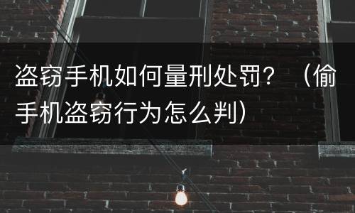 盗窃手机如何量刑处罚？（偷手机盗窃行为怎么判）