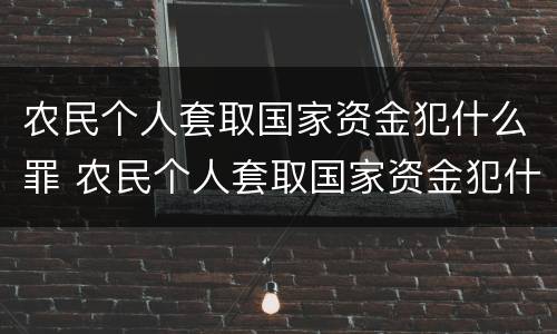 农民个人套取国家资金犯什么罪 农民个人套取国家资金犯什么罪行