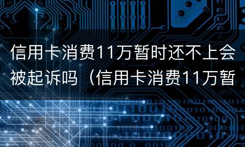 信用卡消费11万暂时还不上会被起诉吗（信用卡消费11万暂时还不上会被起诉吗知乎）