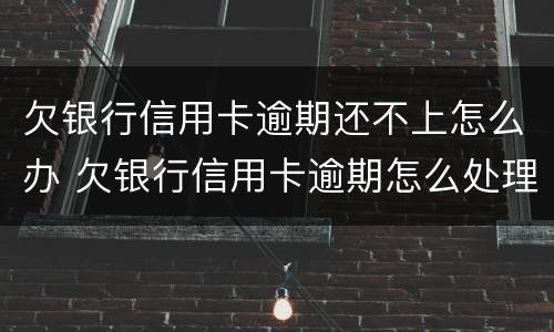 欠银行信用卡逾期还不上怎么办 欠银行信用卡逾期怎么处理