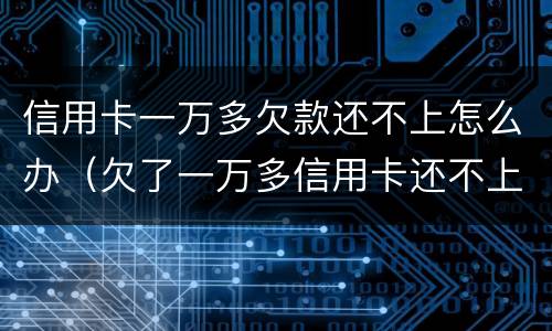 信用卡一万多欠款还不上怎么办（欠了一万多信用卡还不上怎么办）