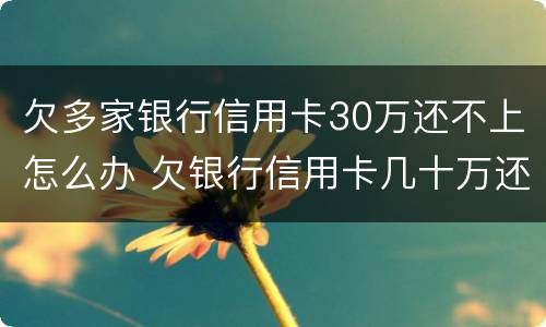 欠多家银行信用卡30万还不上怎么办 欠银行信用卡几十万还不上怎么办