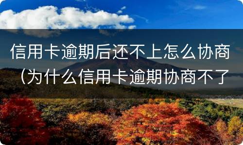 信用卡逾期后还不上怎么协商（为什么信用卡逾期协商不了）
