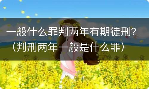一般什么罪判两年有期徒刑？（判刑两年一般是什么罪）