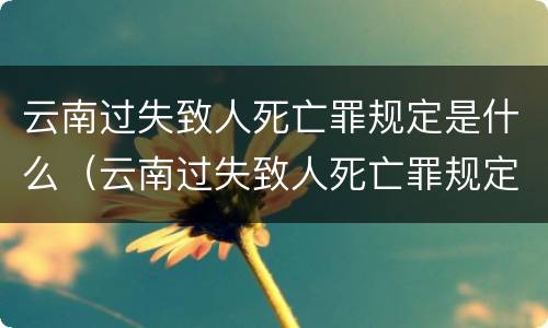 云南过失致人死亡罪规定是什么（云南过失致人死亡罪规定是什么法律）