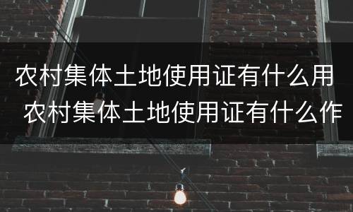农村集体土地使用证有什么用 农村集体土地使用证有什么作用