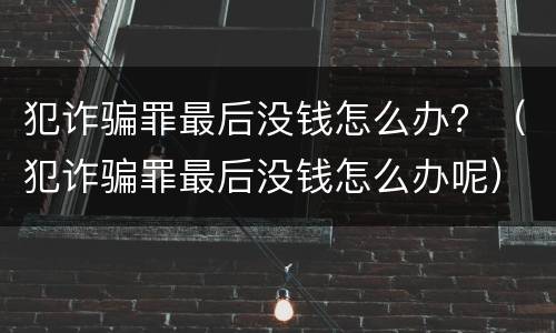 犯诈骗罪最后没钱怎么办？（犯诈骗罪最后没钱怎么办呢）
