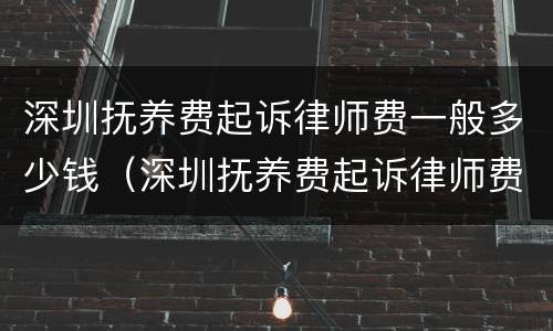 深圳抚养费起诉律师费一般多少钱（深圳抚养费起诉律师费一般多少钱一次）
