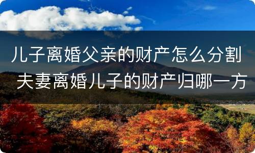 儿子离婚父亲的财产怎么分割 夫妻离婚儿子的财产归哪一方