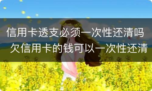 信用卡透支必须一次性还清吗 欠信用卡的钱可以一次性还清吗