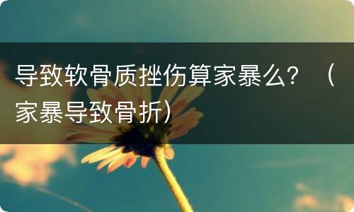 导致软骨质挫伤算家暴么？（家暴导致骨折）