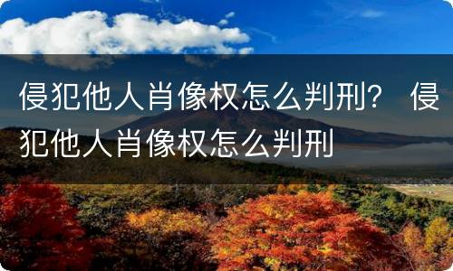 侵犯他人肖像权怎么判刑？ 侵犯他人肖像权怎么判刑