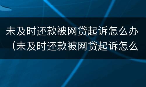 未及时还款被网贷起诉怎么办（未及时还款被网贷起诉怎么办理）