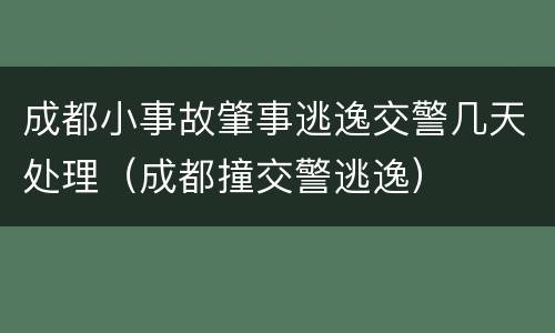 成都小事故肇事逃逸交警几天处理（成都撞交警逃逸）