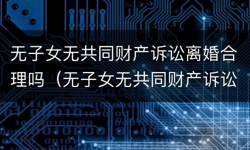 无子女无共同财产诉讼离婚合理吗（无子女无共同财产诉讼离婚合理吗）