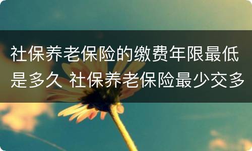 社保养老保险的缴费年限最低是多久 社保养老保险最少交多少年