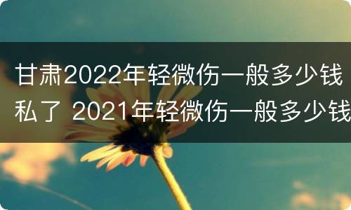甘肃2022年轻微伤一般多少钱私了 2021年轻微伤一般多少钱私了