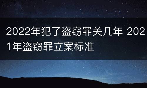 2022年犯了盗窃罪关几年 2021年盗窃罪立案标准