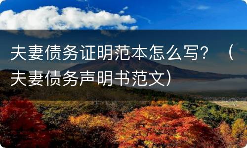 夫妻债务证明范本怎么写？（夫妻债务声明书范文）