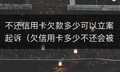 不还信用卡欠款多少可以立案起诉（欠信用卡多少不还会被起诉）