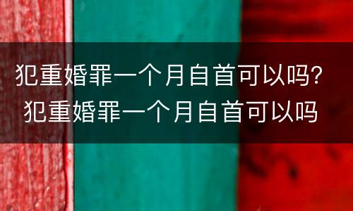 犯重婚罪一个月自首可以吗？ 犯重婚罪一个月自首可以吗