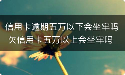 信用卡逾期五万以下会坐牢吗 欠信用卡五万以上会坐牢吗