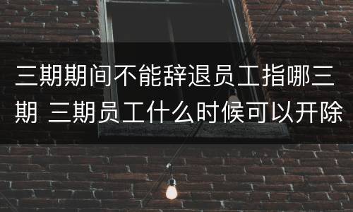 三期期间不能辞退员工指哪三期 三期员工什么时候可以开除