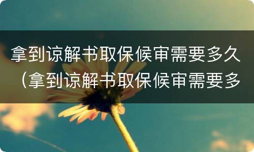 拿到谅解书取保候审需要多久（拿到谅解书取保候审需要多久打架）