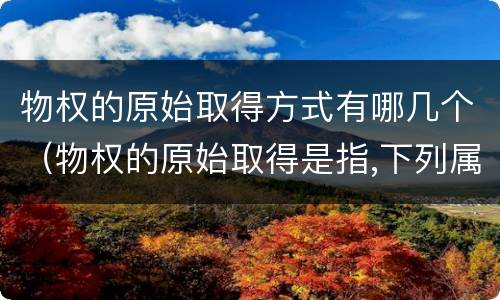 物权的原始取得方式有哪几个（物权的原始取得是指,下列属于物权）
