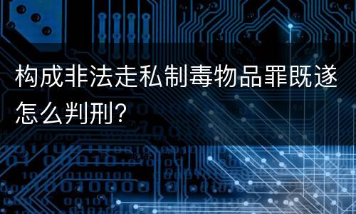 构成非法走私制毒物品罪既遂怎么判刑?