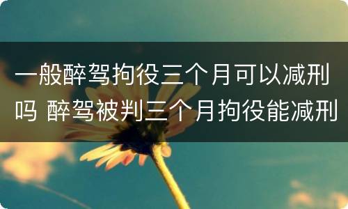 一般醉驾拘役三个月可以减刑吗 醉驾被判三个月拘役能减刑吗?