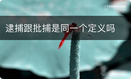 逮捕跟批捕是同一个定义吗