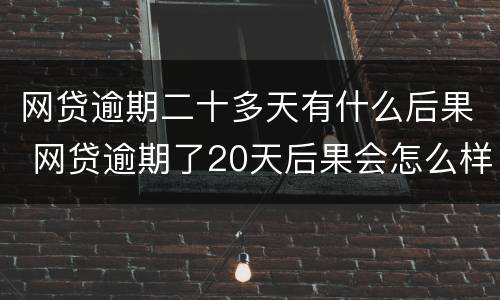 网贷逾期二十多天有什么后果 网贷逾期了20天后果会怎么样