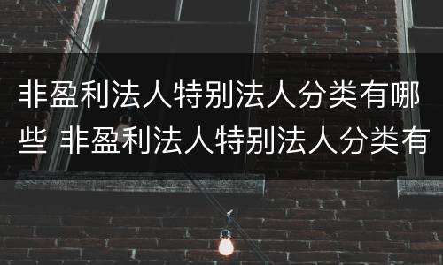 非盈利法人特别法人分类有哪些 非盈利法人特别法人分类有哪些内容