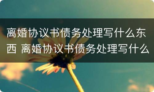 离婚协议书债务处理写什么东西 离婚协议书债务处理写什么东西呢