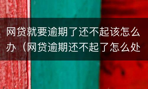 网贷就要逾期了还不起该怎么办（网贷逾期还不起了怎么处理）
