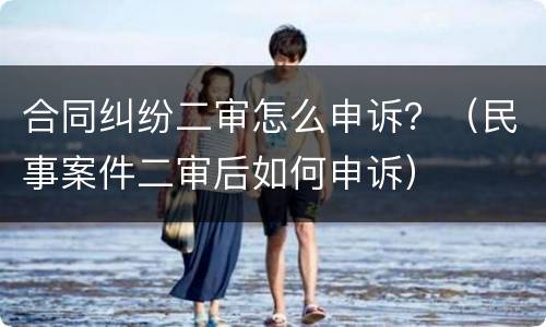 合同纠纷二审怎么申诉？（民事案件二审后如何申诉）