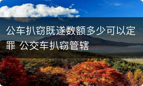 公车扒窃既遂数额多少可以定罪 公交车扒窃管辖