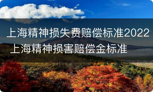 上海精神损失费赔偿标准2022 上海精神损害赔偿金标准